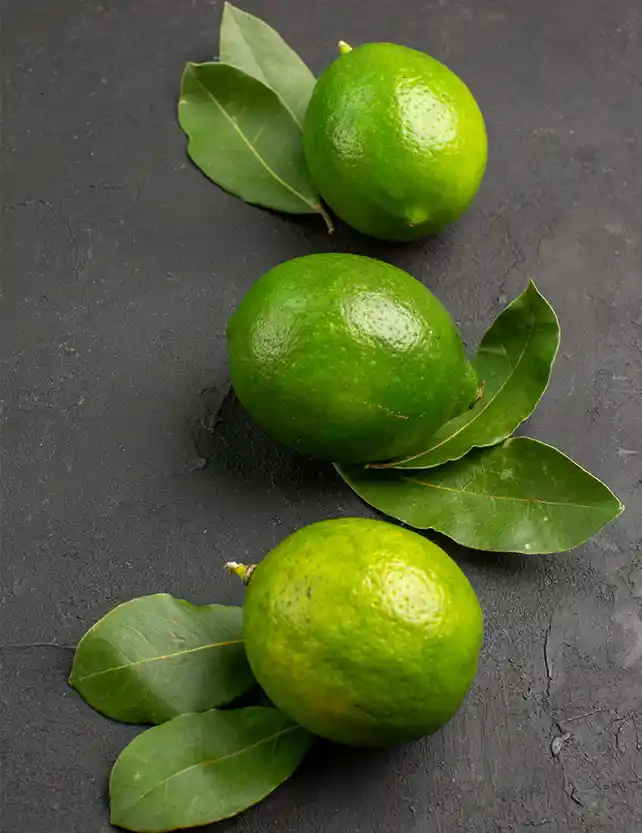 Manoli parfum wallpaper 0